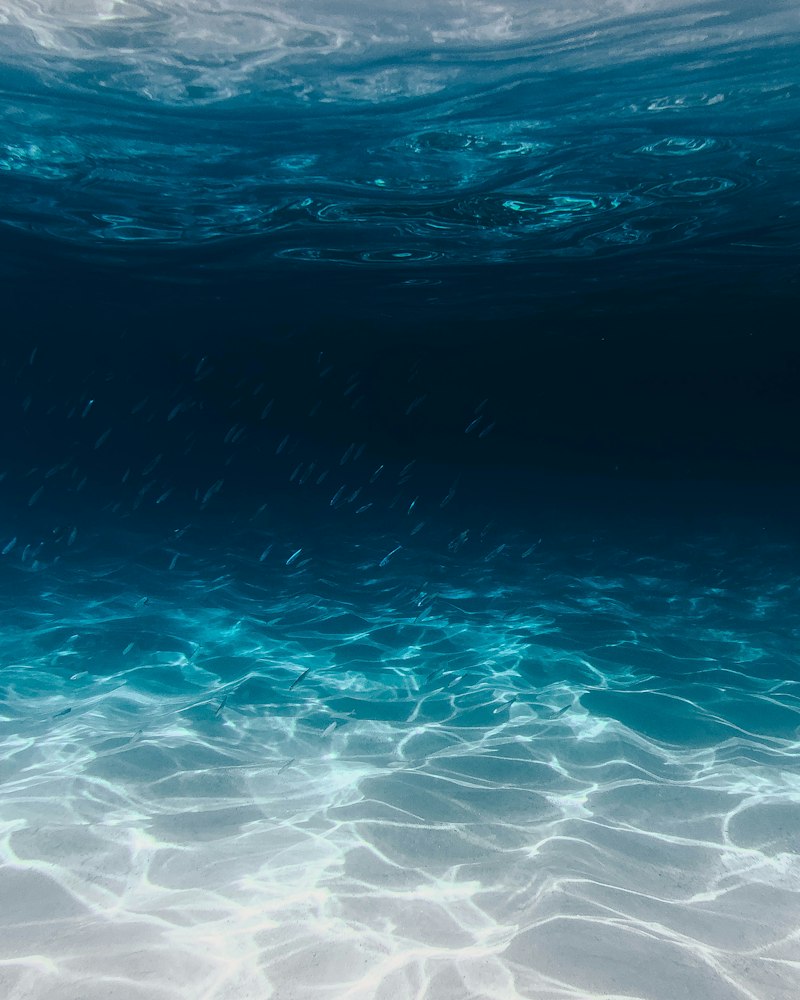 Freediving