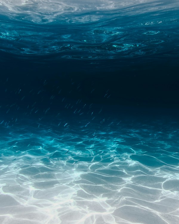 Ocean