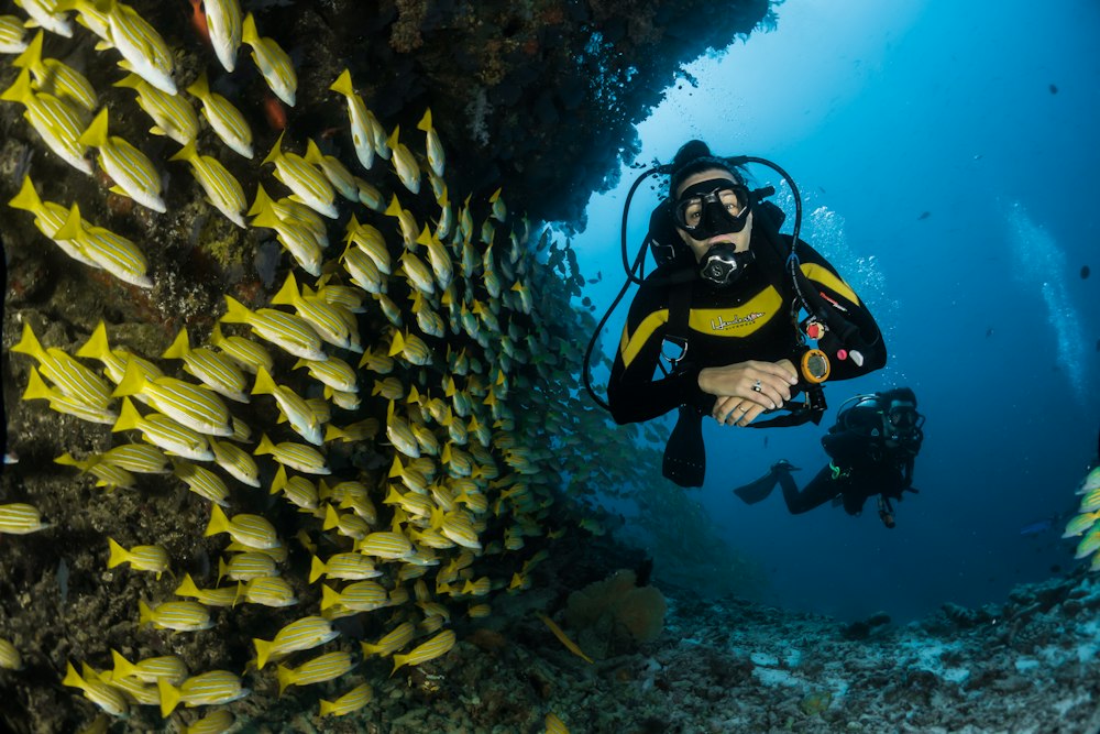 Freediver in blue ocean
